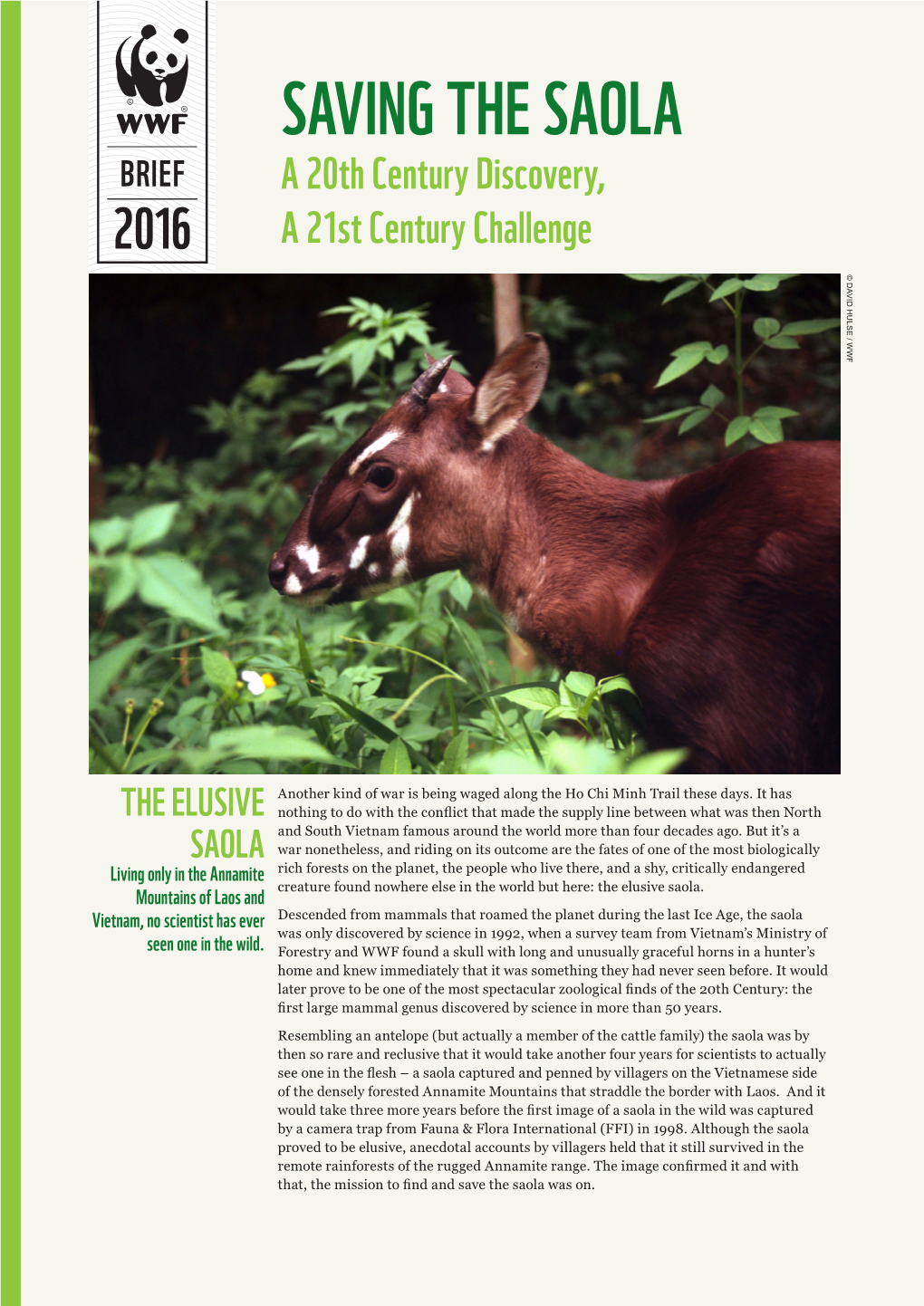 SAVING the SAOLA BRIEF a 20Th Century Discovery, 2016 a 21St Century Challenge © DAVID HULSE / WWF HULSE © DAVID