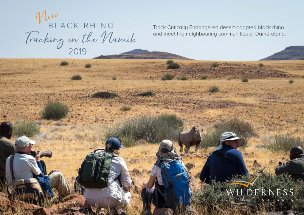 Black Rhino Tracking in the Namib