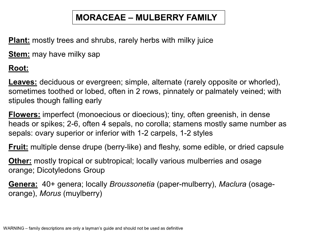 Moraceae – Mulberry Family