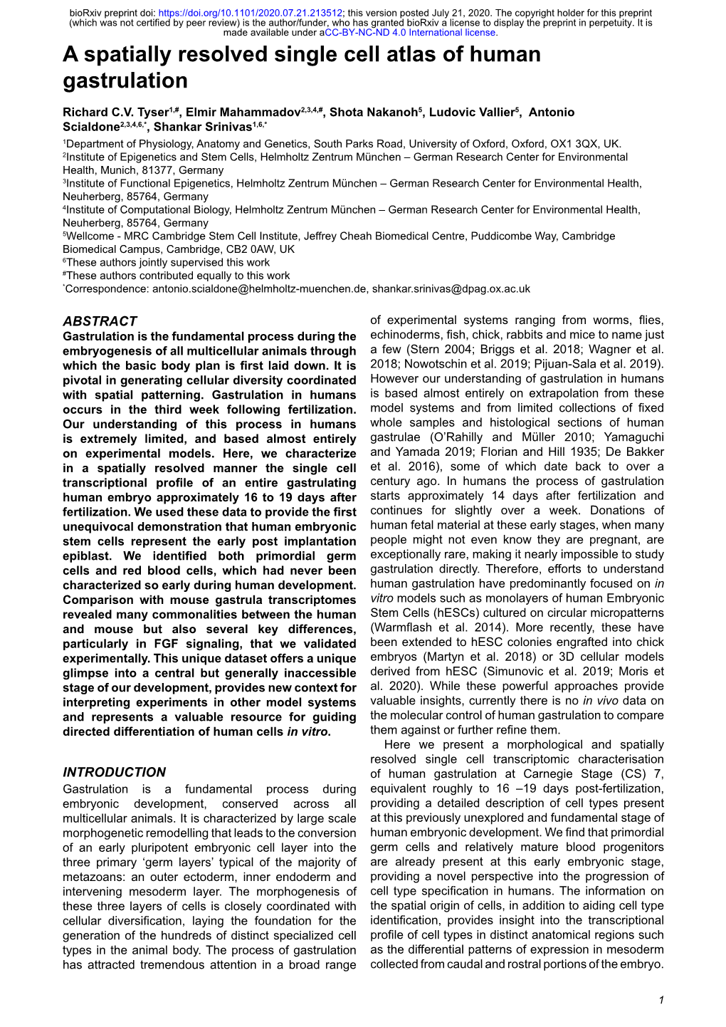 A Spatially Resolved Single Cell Atlas of Human Gastrulation