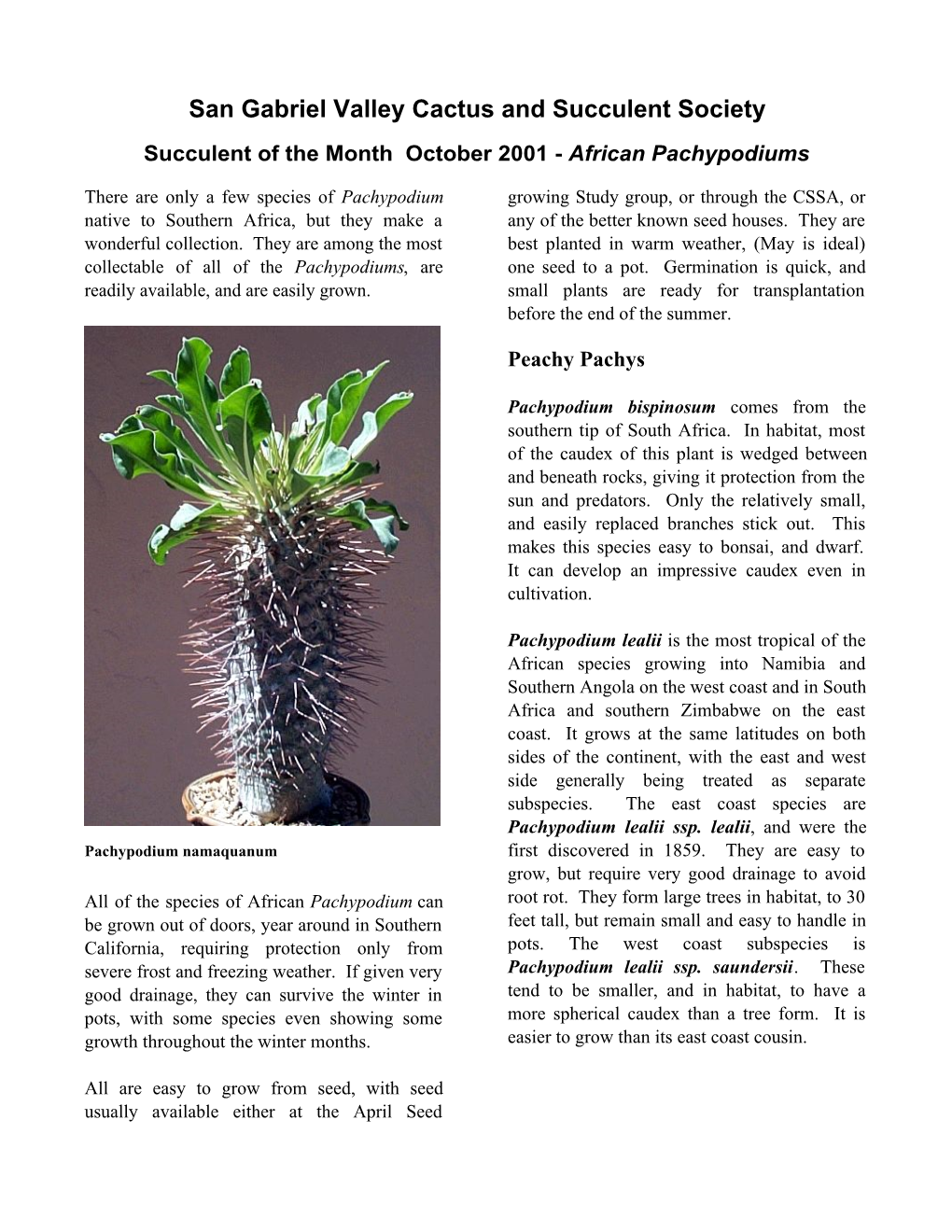 San Gabriel Valley Cactus and Succulent Society Succulent of the Month October 2001 - African Pachypodiums