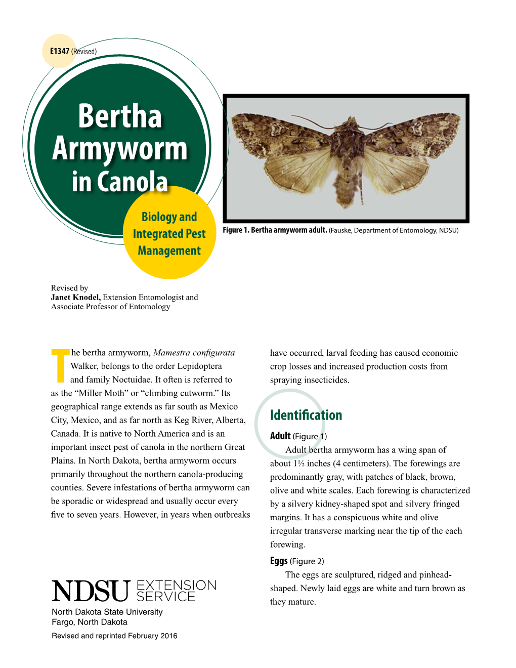 Bertha Armyworm in Canola: Biology and Integrated Pest Management