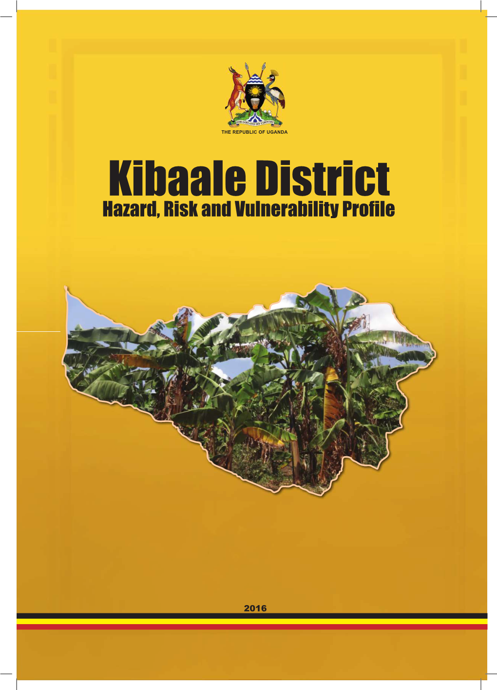 Kibaale District HRV Profile.Pdf