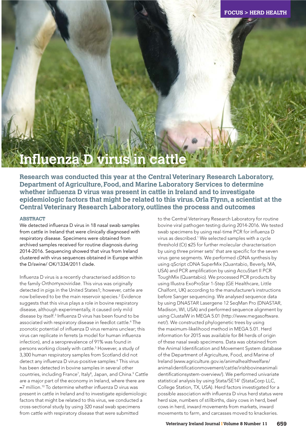 Influenza D Virus in Cattle