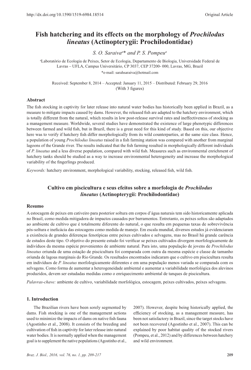 Fish Hatchering and Its Effects on the Morphology of Prochilodus Lineatus (Actinopterygii: Prochilodontidae) S