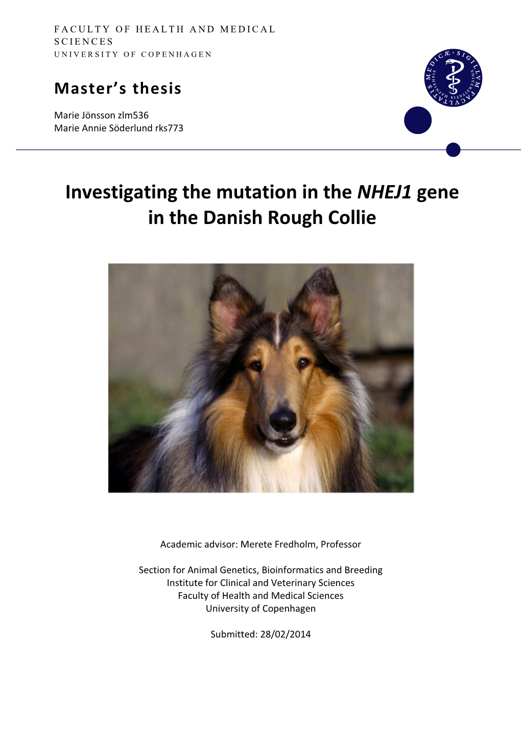 Investigating the Mutation in the NHEJ1 Gene in the Danish Rough