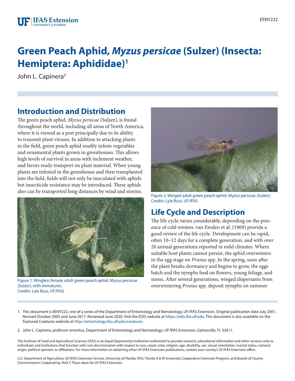 Green Peach Aphid, Myzus Persicae (Sulzer) (Insecta: Hemiptera: Aphididae)1 John L
