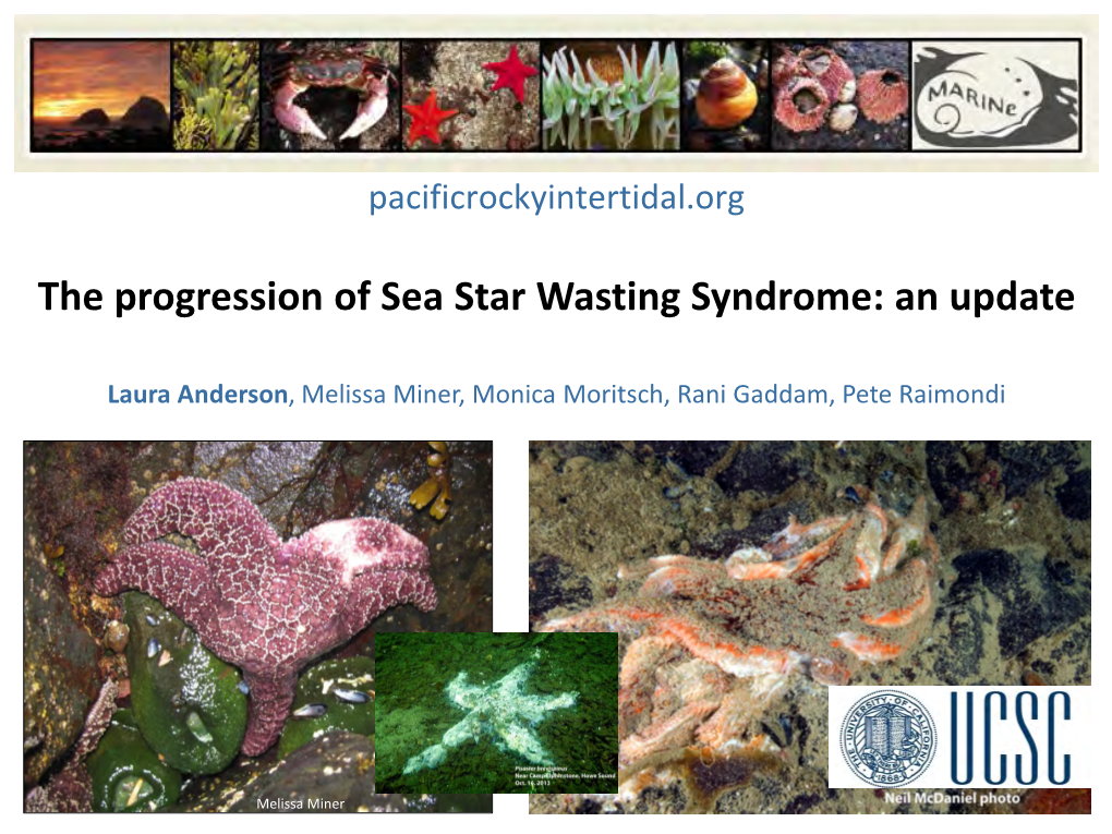 Sea Star Wasting Syndrome: an Update