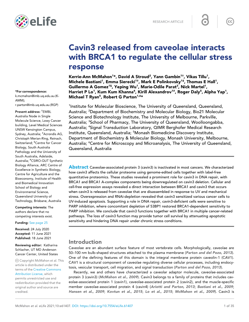 Cavin3 Released from Caveolae Interacts with BRCA1 to Regulate