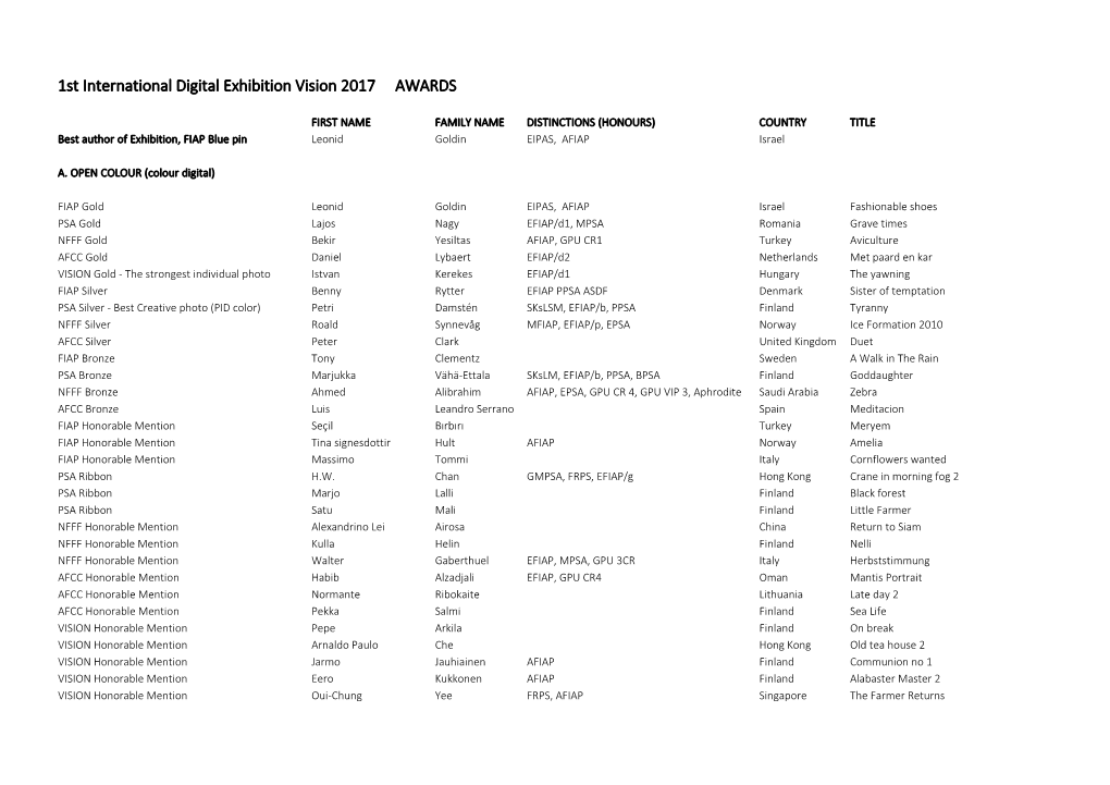 1St International Digital Exhibition Vision 2017 AWARDS