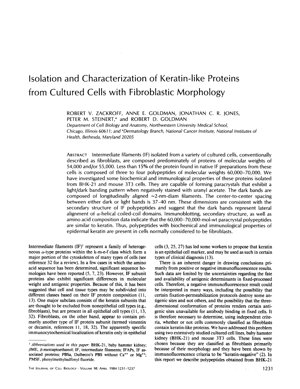 Isolation and Characterization of Keratin-Like Proteins from Cultured Cells with Fibroblastic Morphology