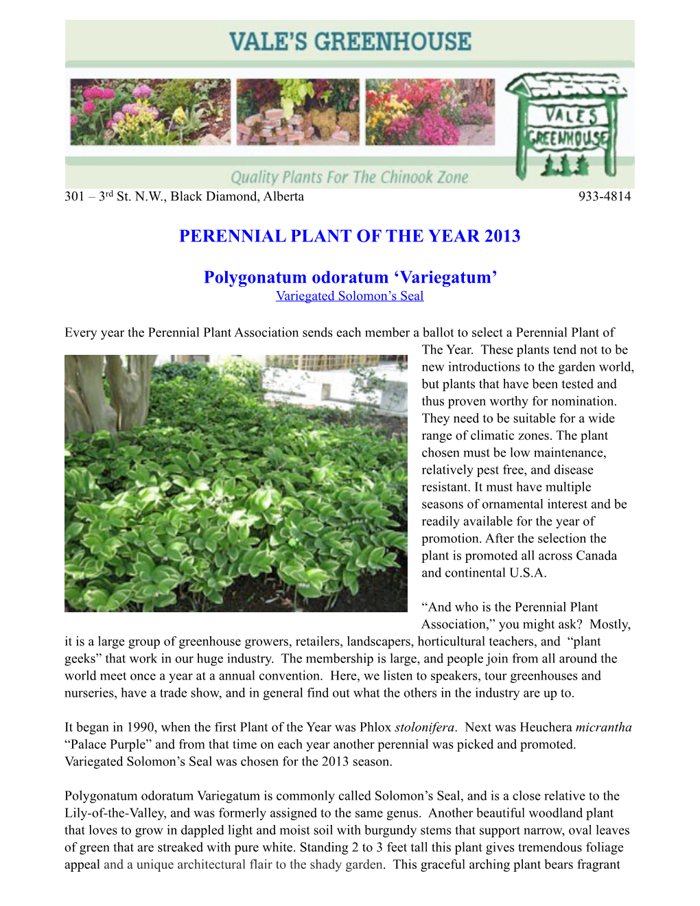 PERENNIAL PLANT of the YEAR 2013 Polygonatum Odoratum