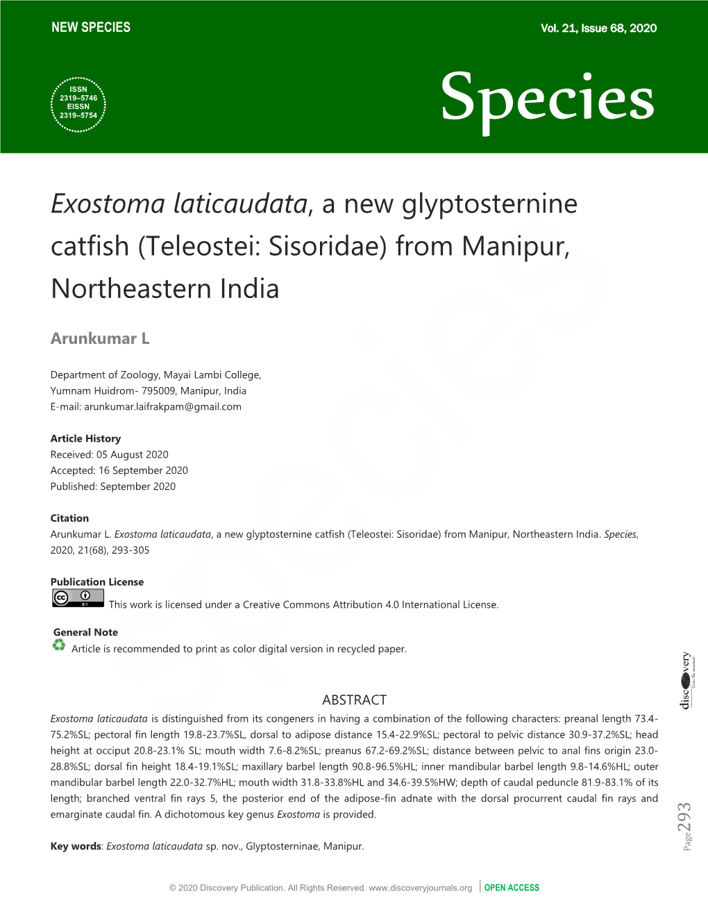Exostoma Laticaudata, a New Glyptosternine Catfish (Teleostei: Sisoridae) from Manipur, Northeastern India