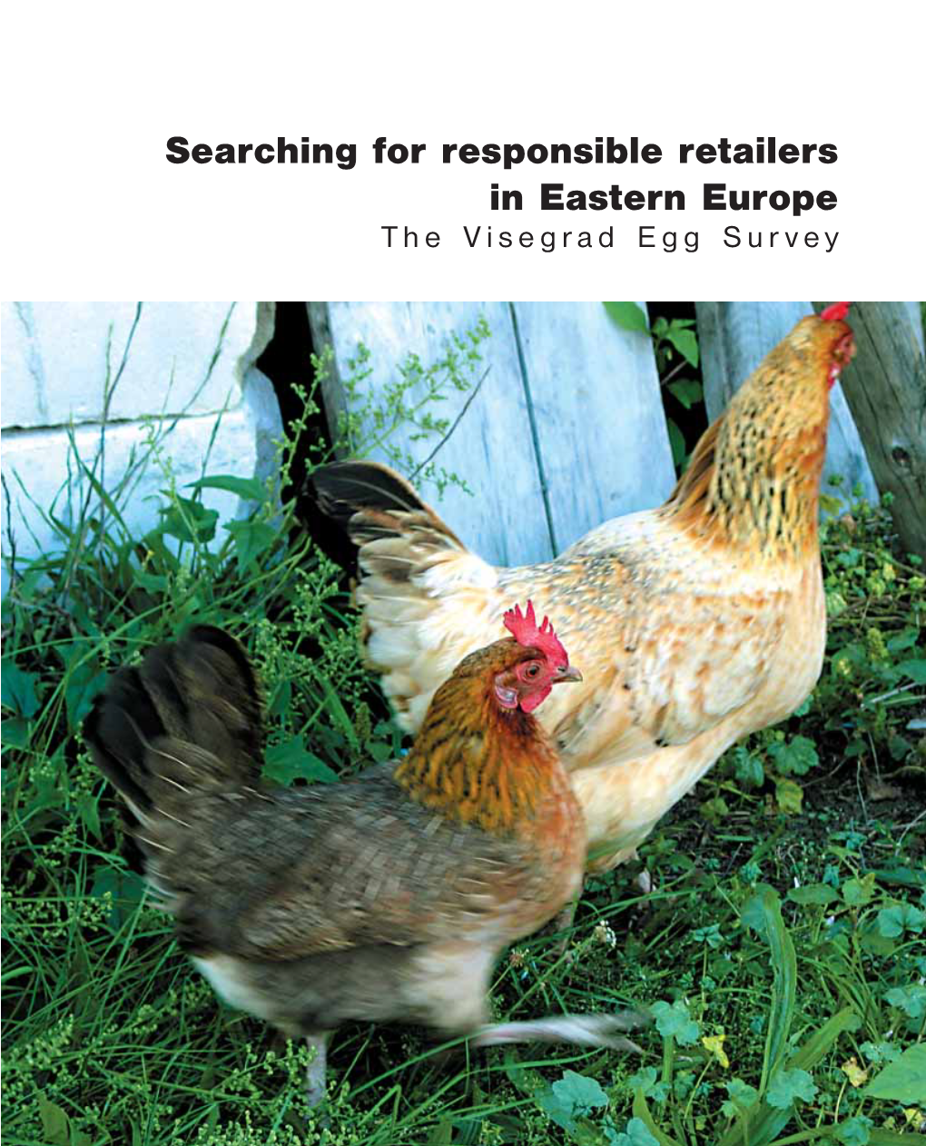 Searching for Responsible Retailers in Eastern Europe