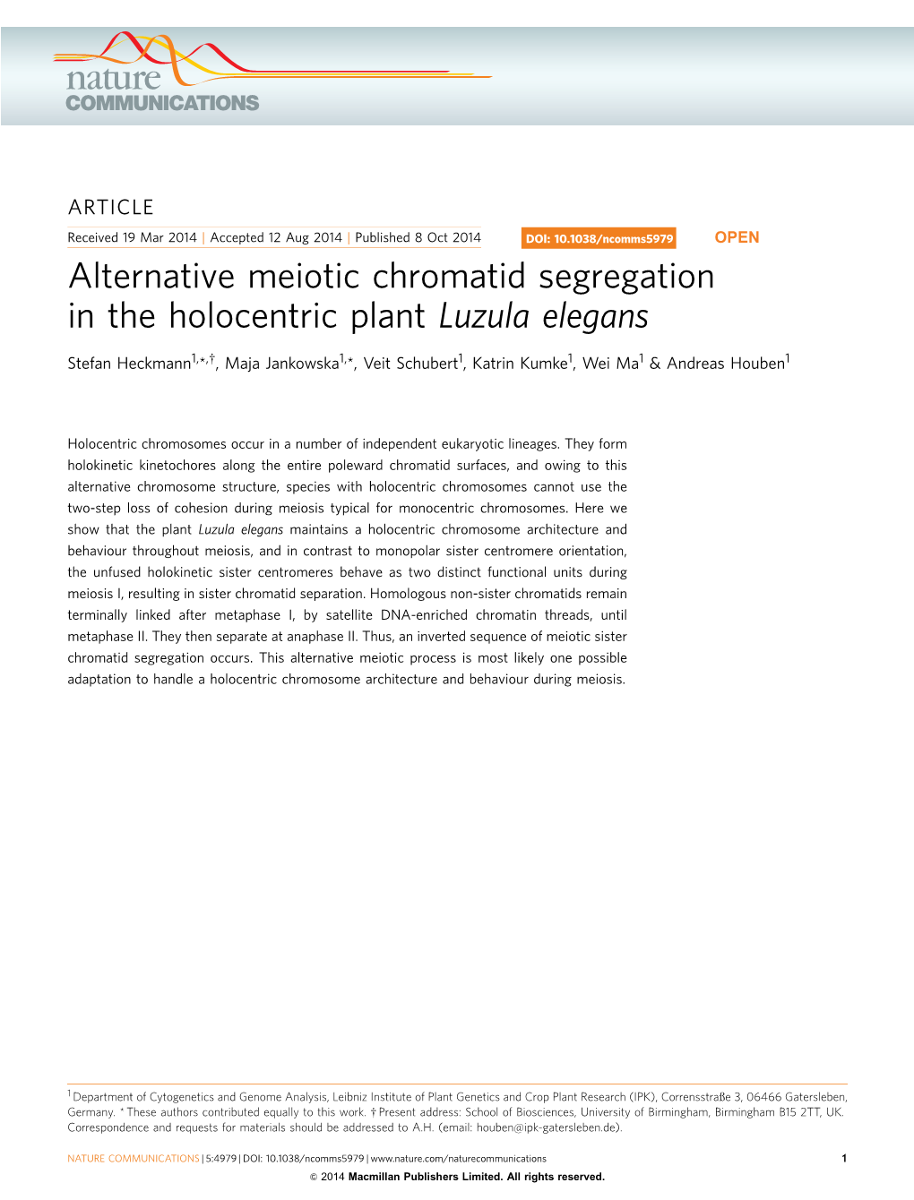 Alternative Meiotic Chromatid Segregation in the Holocentric Plant Luzula Elegans