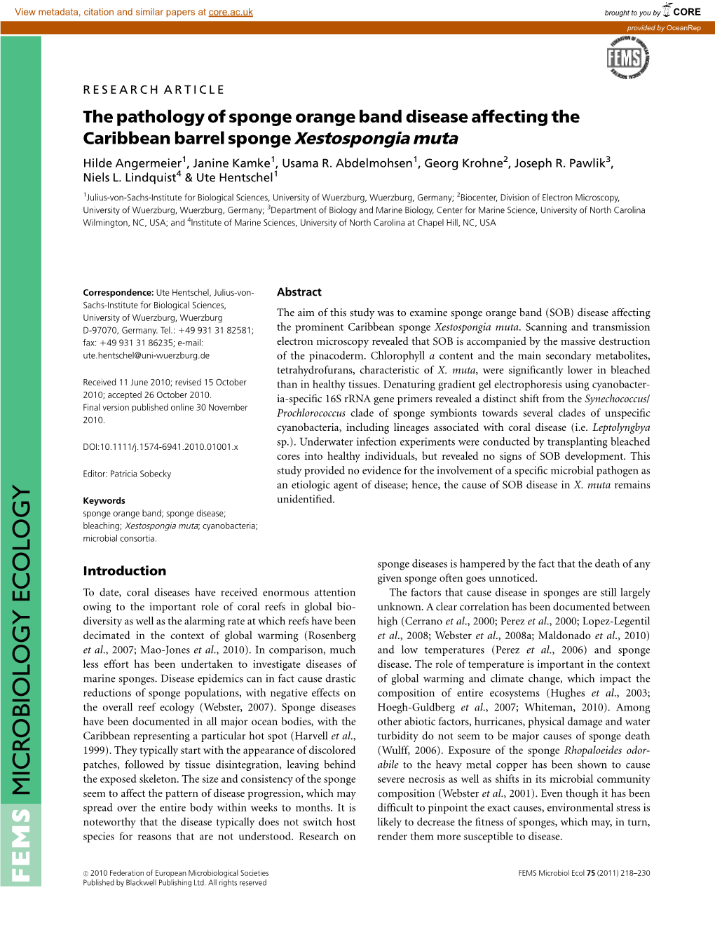 The Pathology of Sponge Orange Band Disease Affecting The