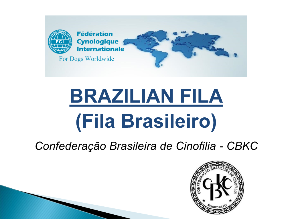 BRAZILIAN FILA (Fila Brasileiro) Confederação Brasileira De Cinofilia - CBKC BRAZILIAN FILA (Fila Brasileiro)