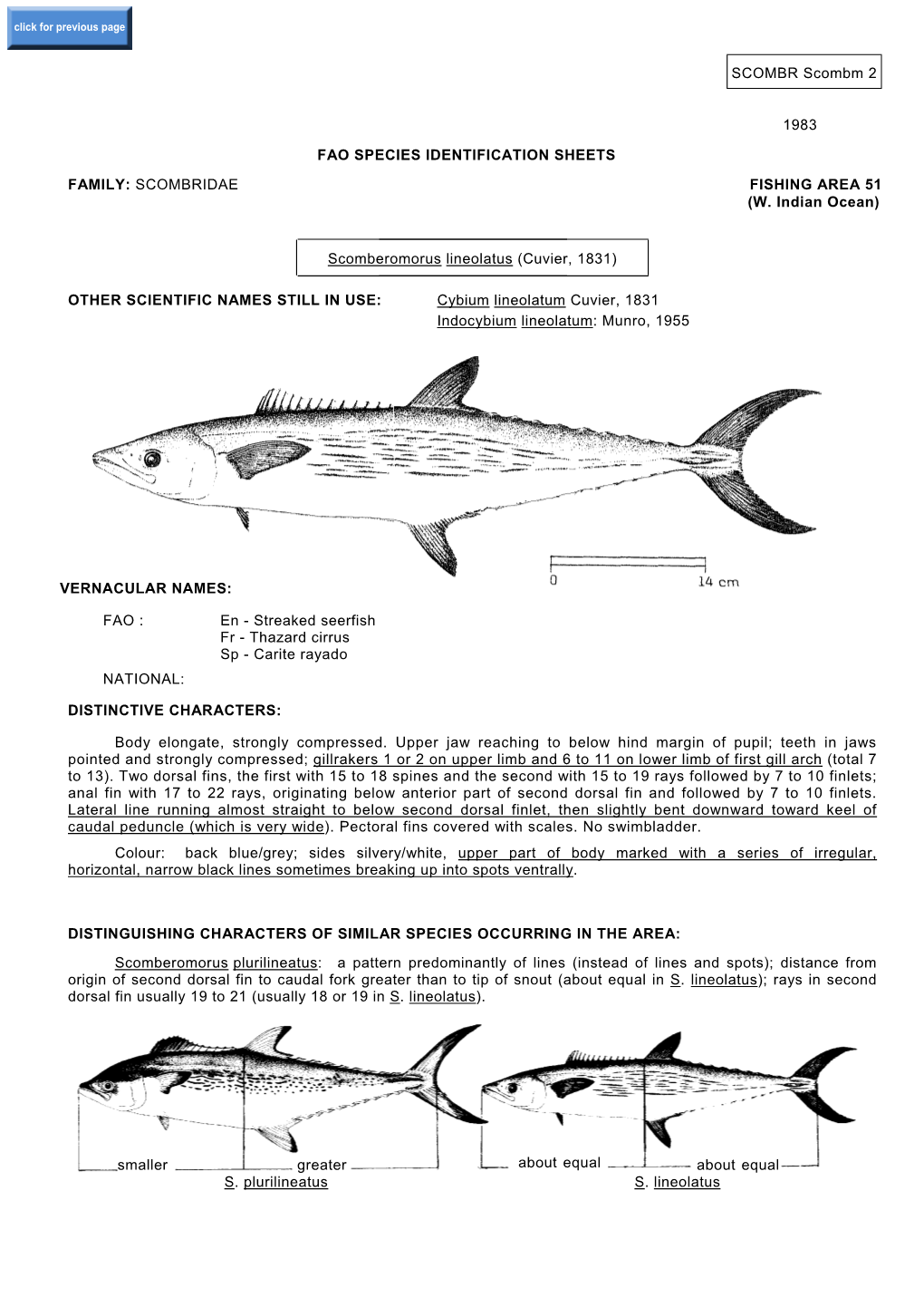 SCOMBR Scombm 2 1983 FAO SPECIES IDENTIFICATION