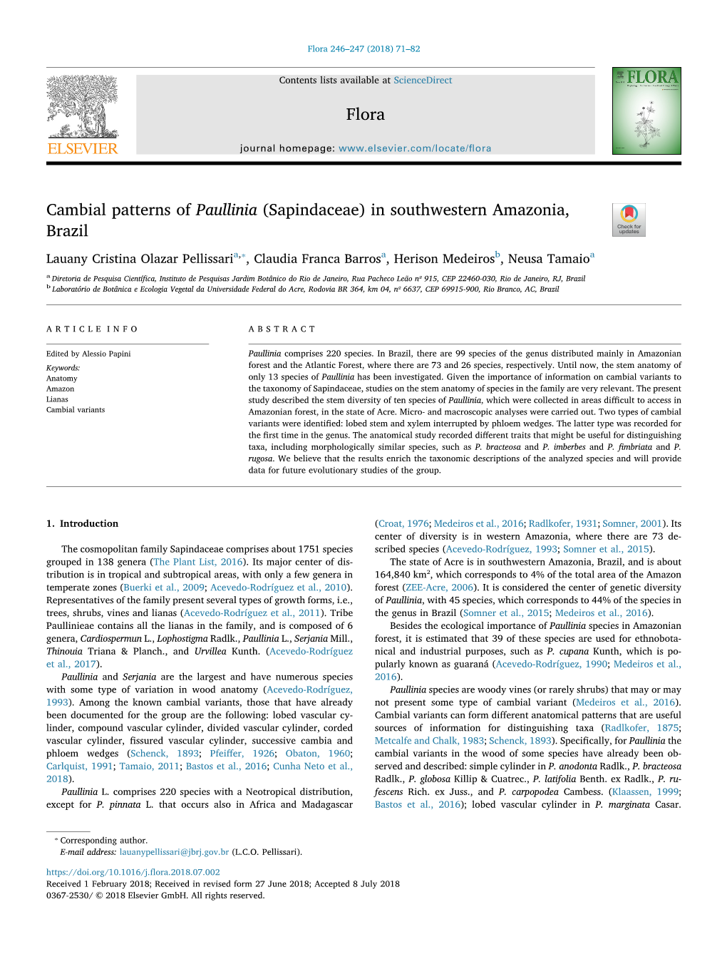 Cambial Patterns of Paullinia (Sapindaceae) in Southwestern