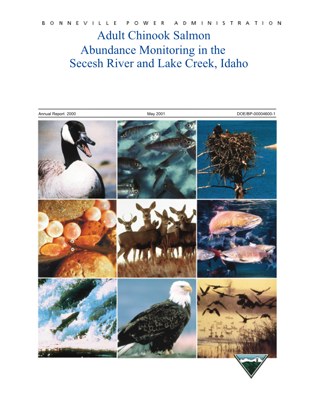 Adult Chinook Salmon Abundance Monitoring in the Secesh River and Lake Creek, Idaho