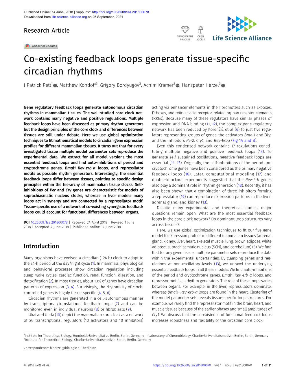 Co-Existing Feedback Loops Generate Tissue-Specific Circadian Rhythms