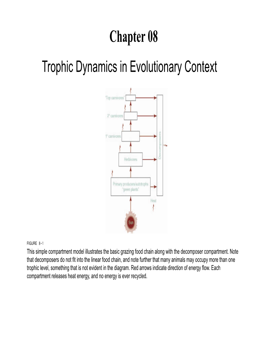 Chapter 08 Trophic Dynamics in Evolutionary Context