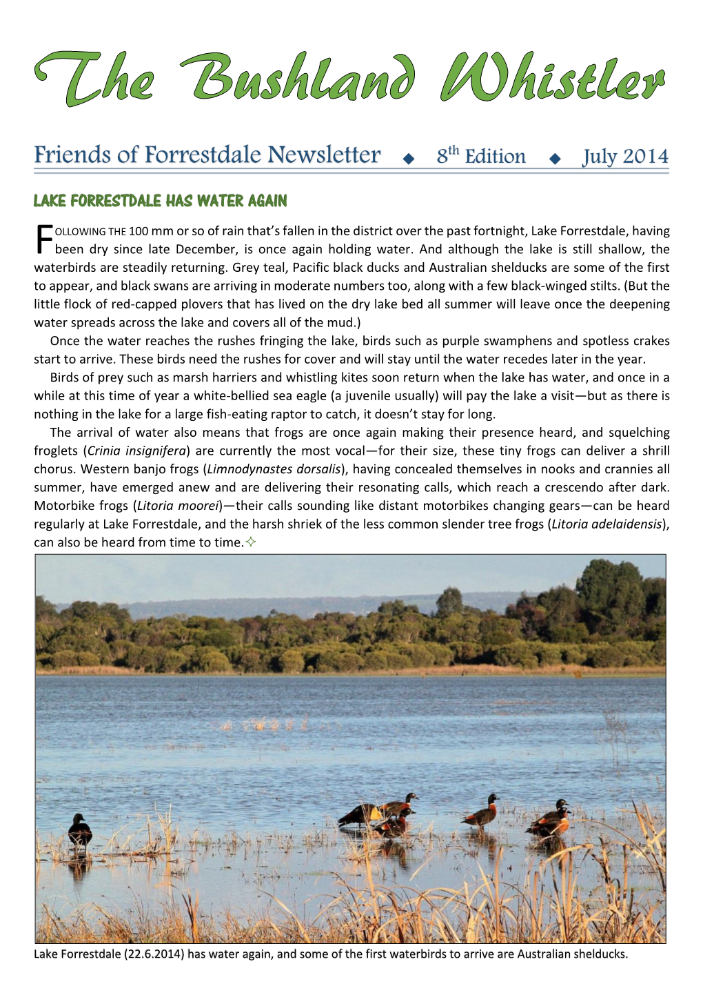 Friends of Forrestdale Newsletter 8Th Edition