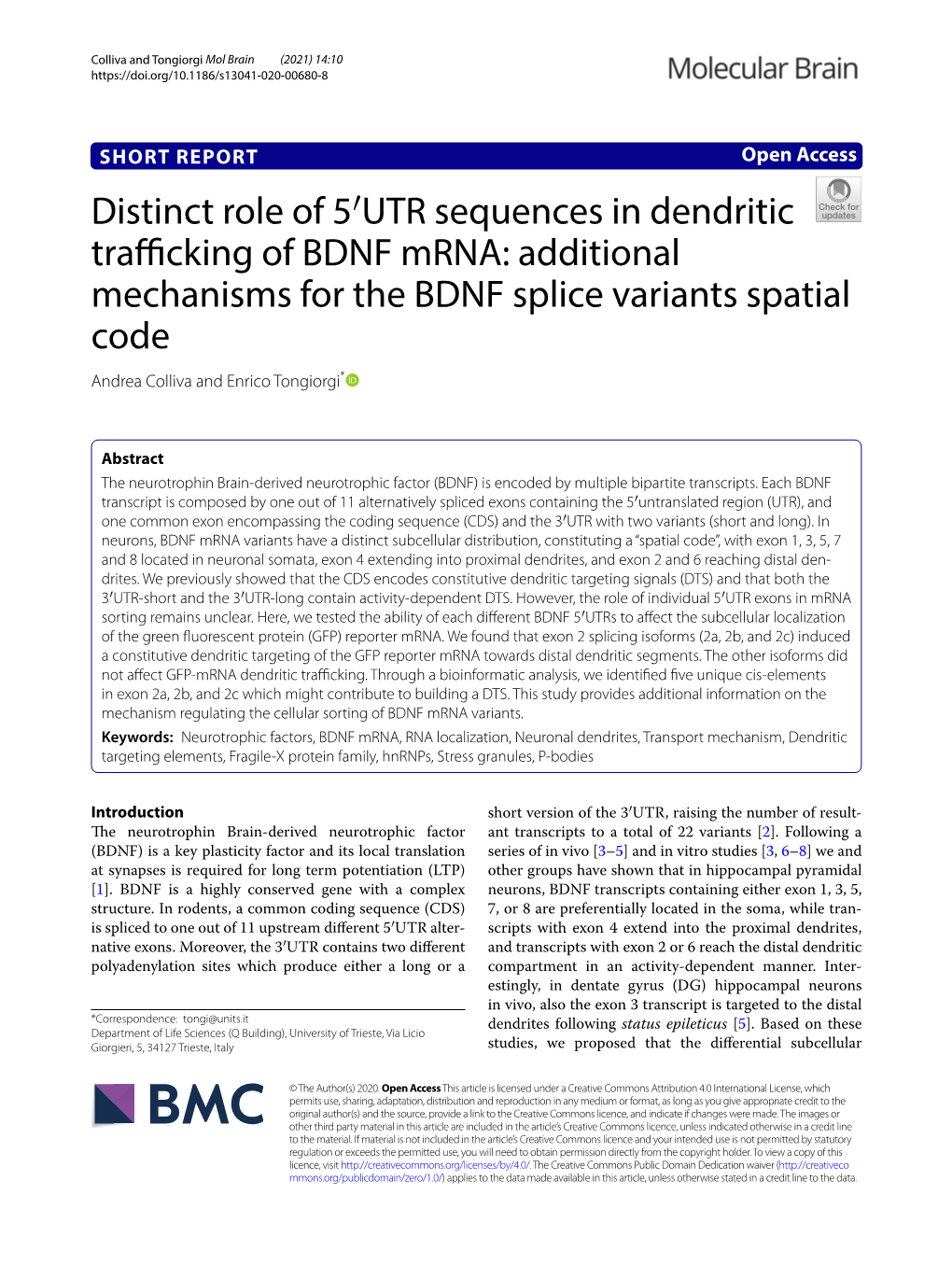 UTR Sequences in Dendritic Trafficking of BDNF Mrna