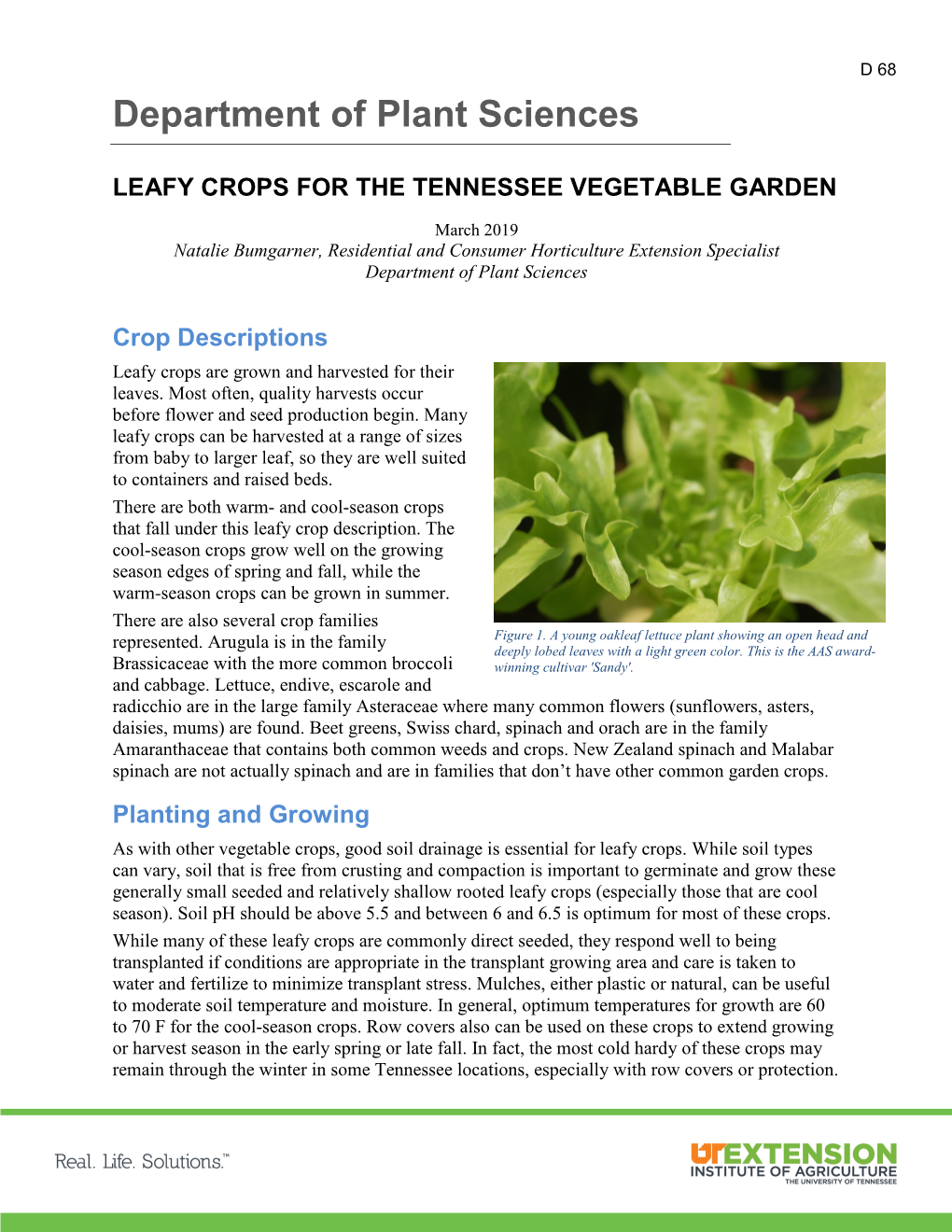 D 68 Leafy Crops for the Tennessee Vegetable Garden