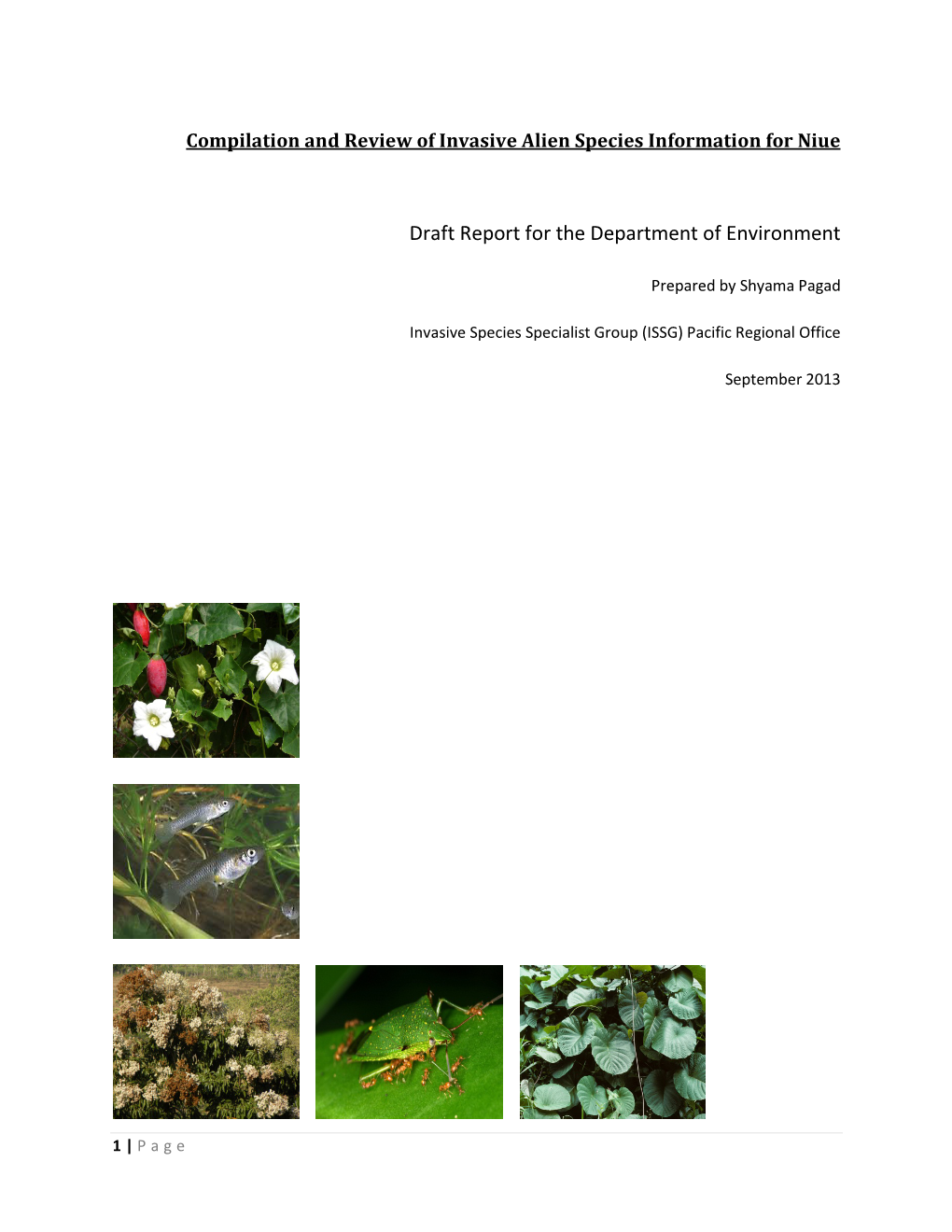 Compilation and Review of Invasive Alien Species Information for Niue