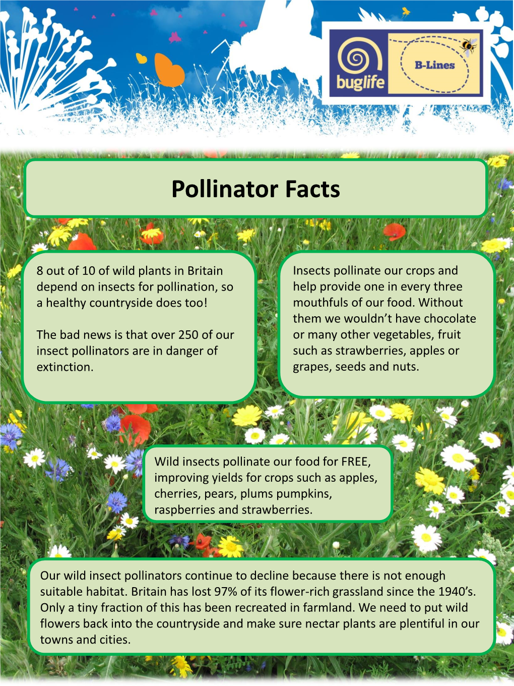 Pollinator Facts