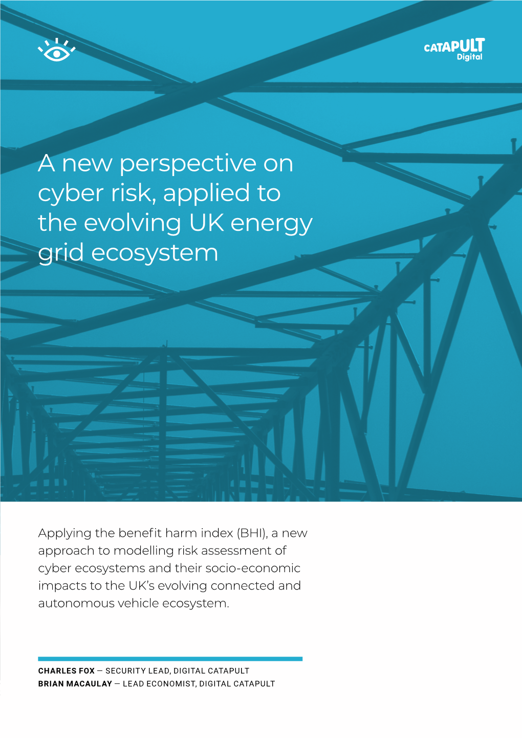 A New Perspective on Cyber Risk, Applied to the Evolving UK Energy Grid Ecosystem