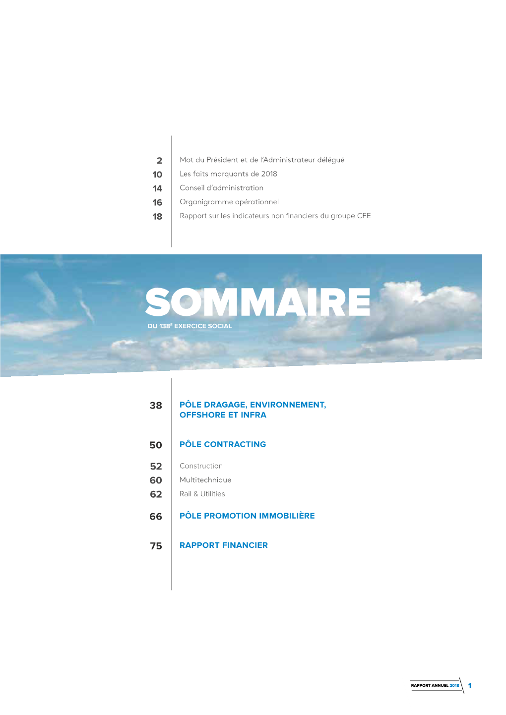 Sommairee Du 138 Exercice Social