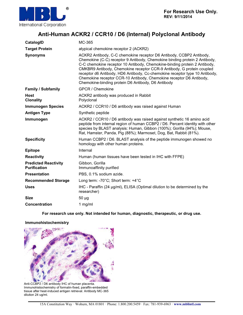 Anti-Human ACKR2 / CCR10 / D6 (Internal) Polyclonal Antibody