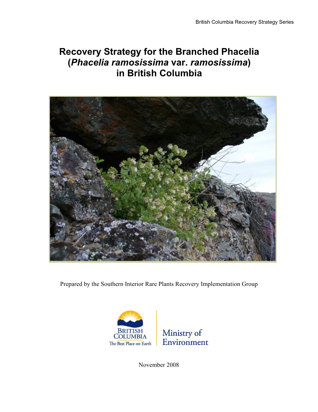 Recovery Strategy for the Branched Phacelia (Phacelia Ramosissima Var