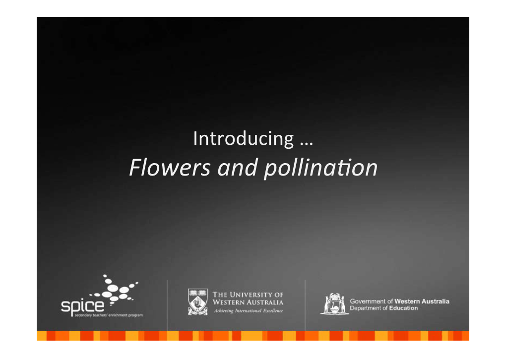Introducing Flowers and Pollination
