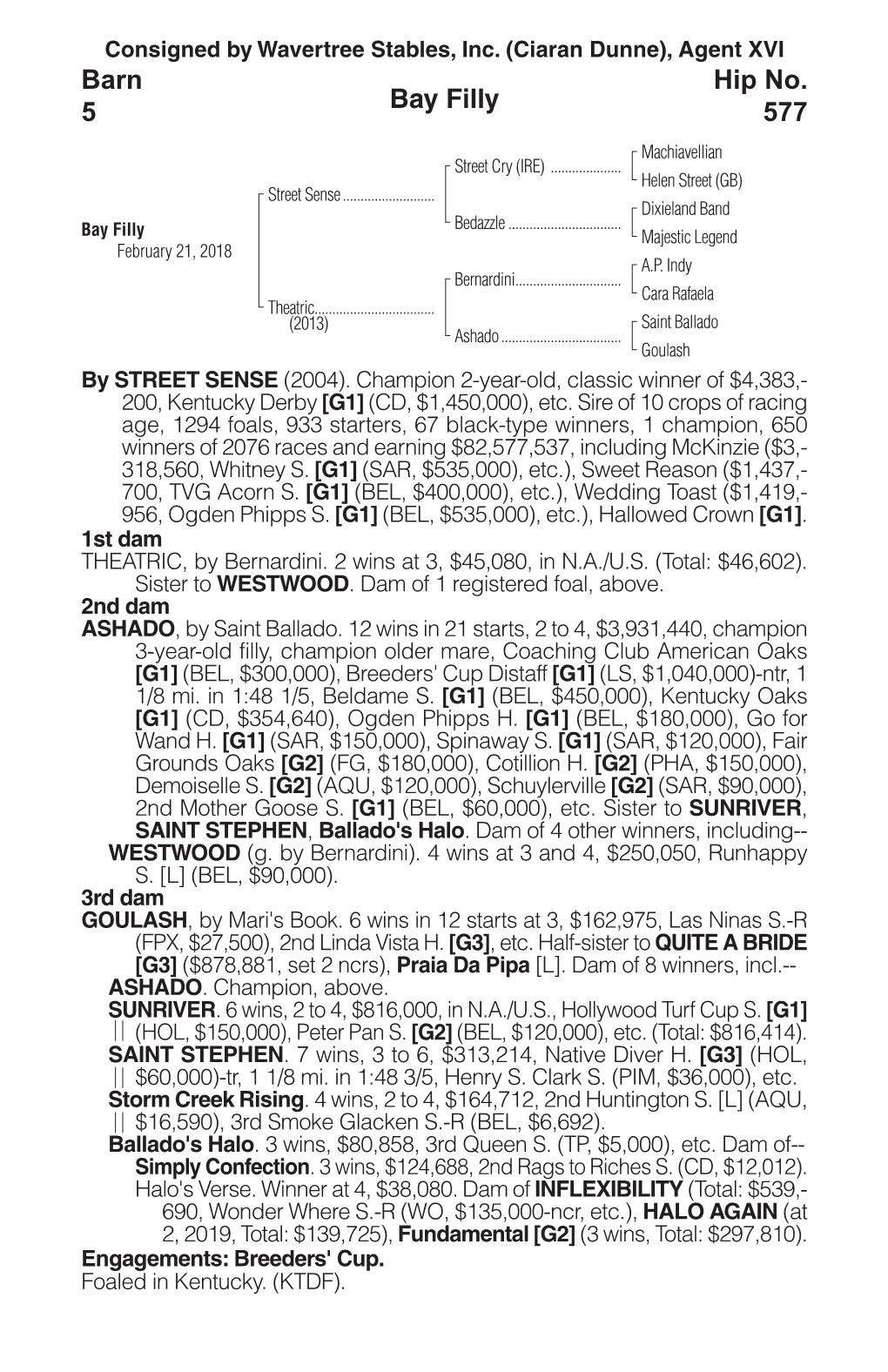 Bay Filly Barn 5 Hip No