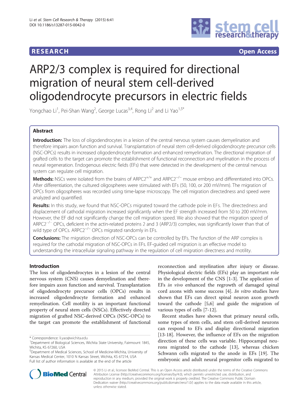 ARP2/3 Complex Is Required for Directional Migration of Neural Stem