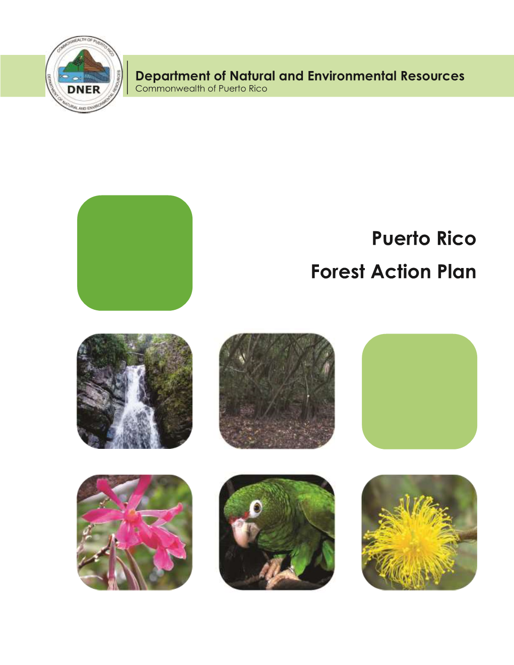 Puerto Rico Forest Action Plan