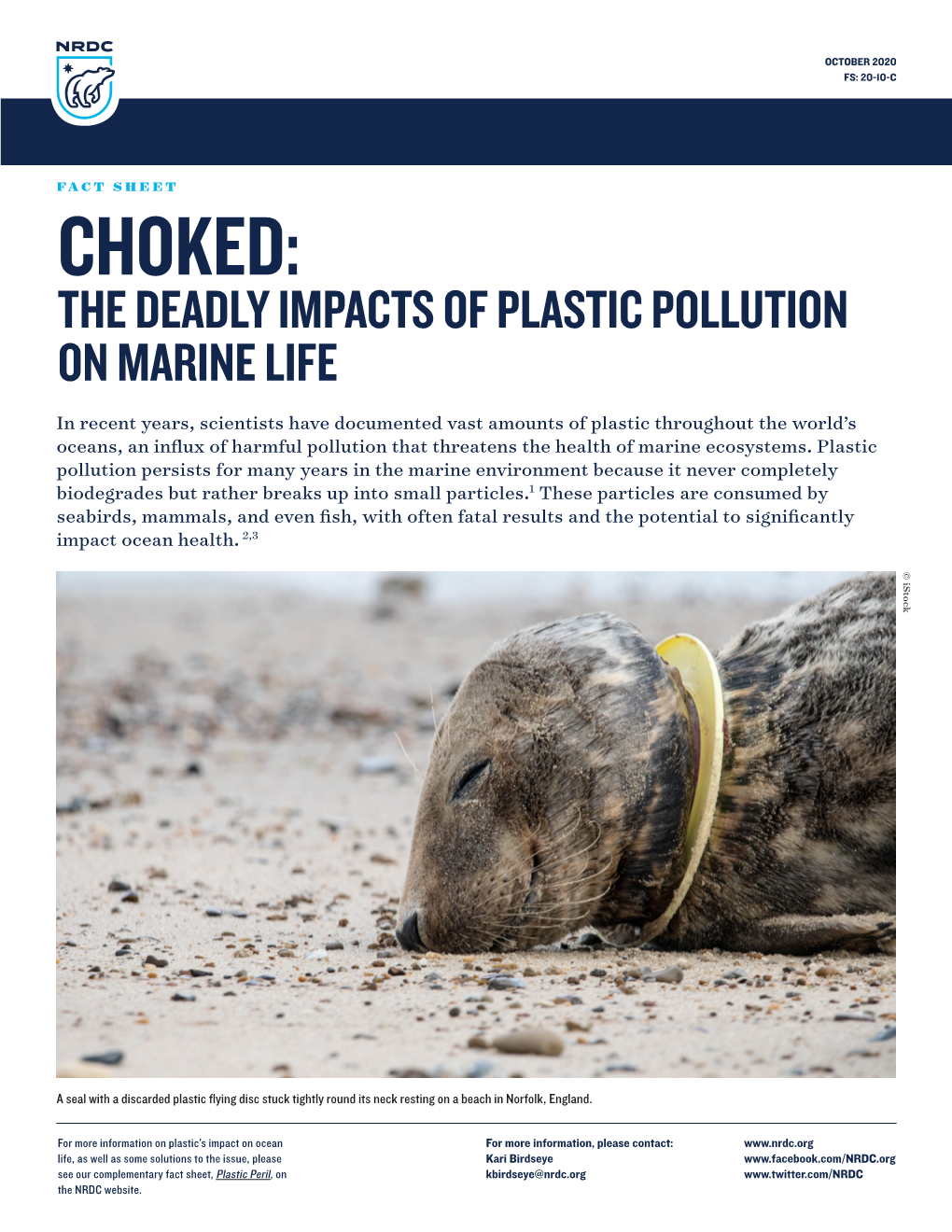 Choked: the Deadly Impacts of Plastic Pollution on Marine Life