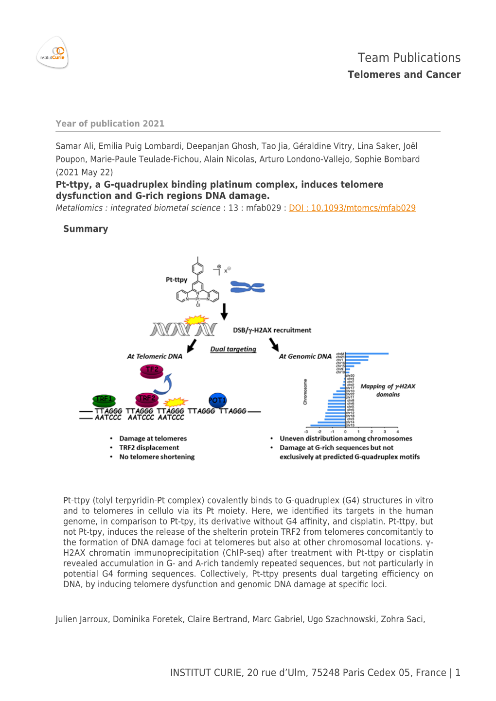 Team Publications Telomeres and Cancer