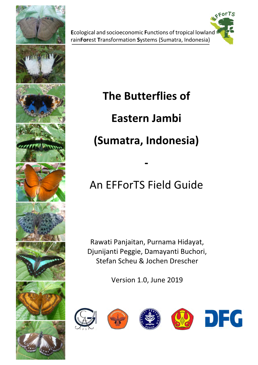 The Butterflies of Eastern Jambi (Sumatra, Indonesia)