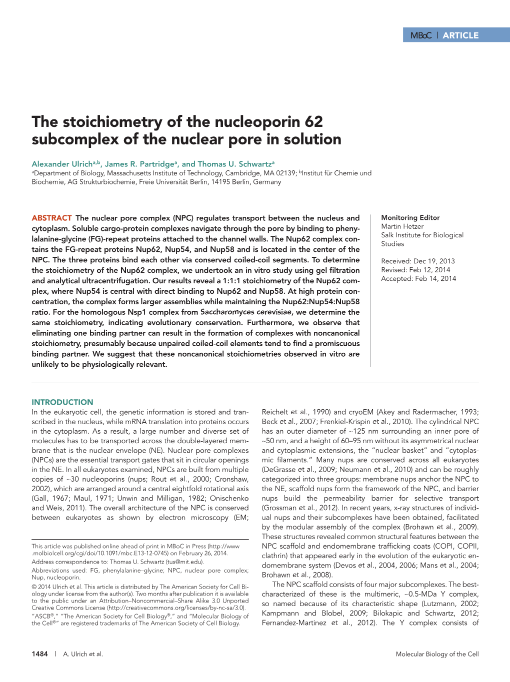 The Stoichiometry of the Nucleoporin 62 Subcomplex of the Nuclear Pore in Solution