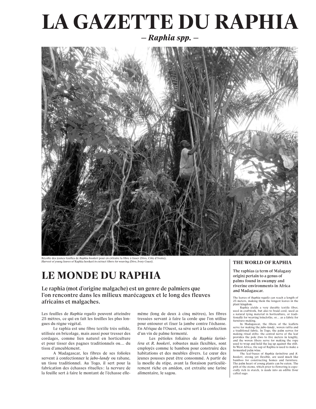 LA GAZETTE DU RAPHIA — Raphia Spp