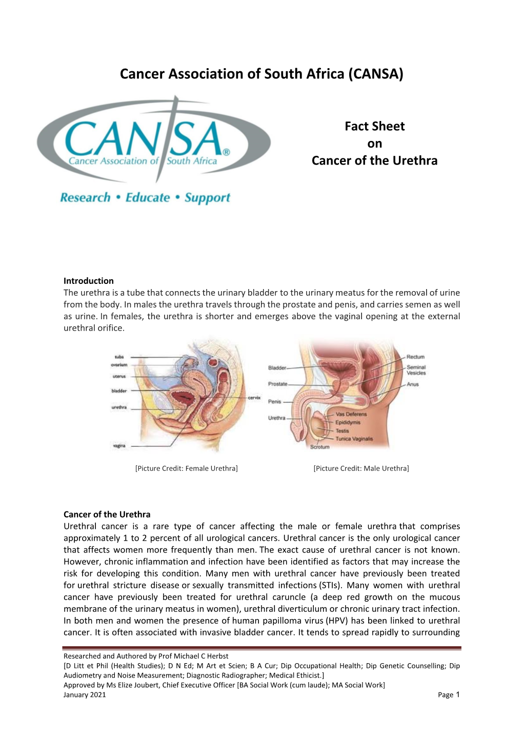 Urethral Cancer (Urethra) Fact Sheet