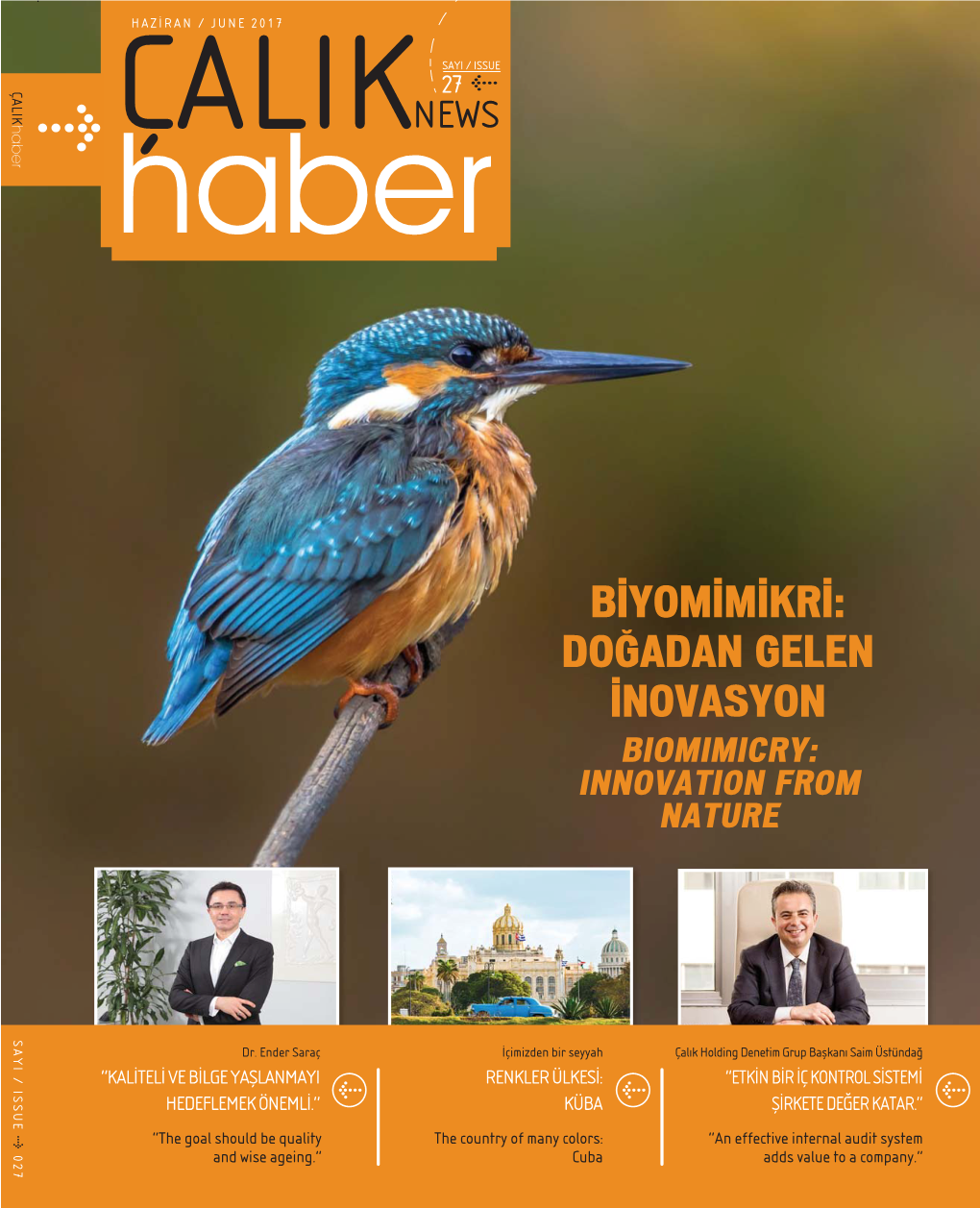 BİYOMİMİKRİ: DOĞADAN GELEN İNOVASYON BIOMIMICRY: INNOVATION from NATURE SAYI / ISSUE SAYI / ISSUE 017 Dr