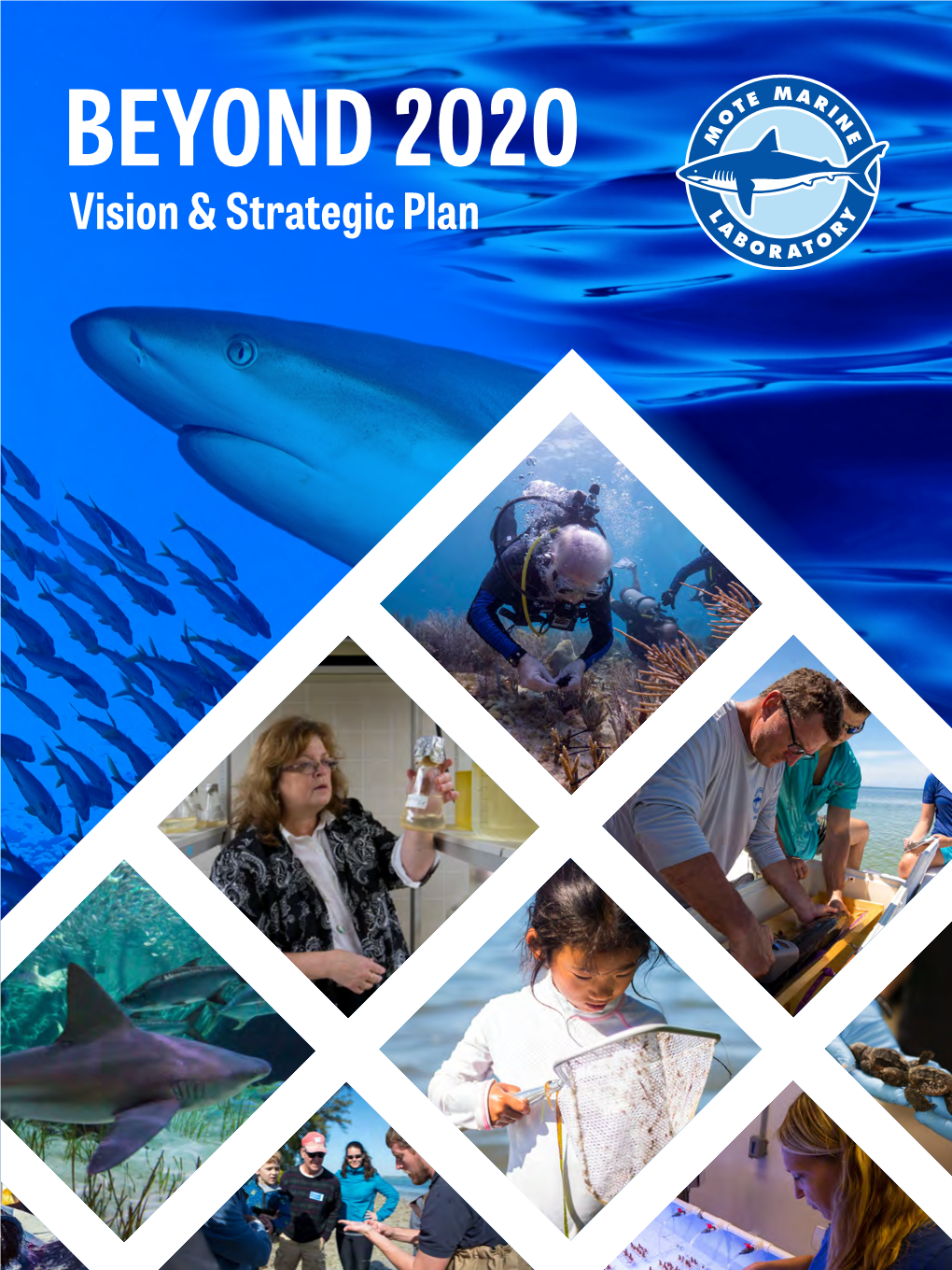 Beyond 2020 Vision & Strategic Plan