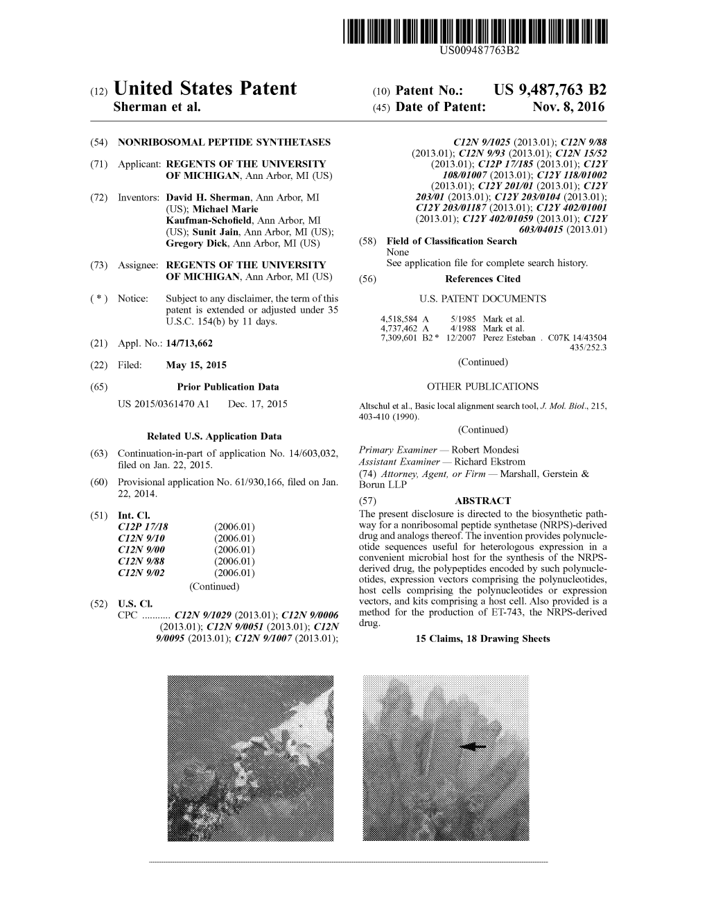 (12) United States Patent (10) Patent No.: US 9.487,763 B2 Sherman Et Al