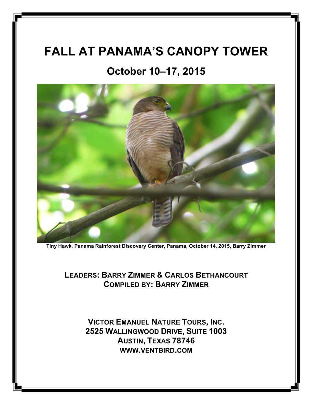 Fall at Panama's Canopy Tower