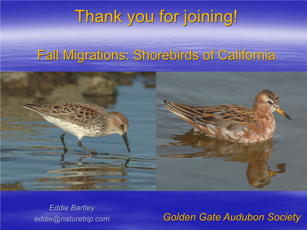 Fall Migrations Shorebirds of CA 2018 NH1-1